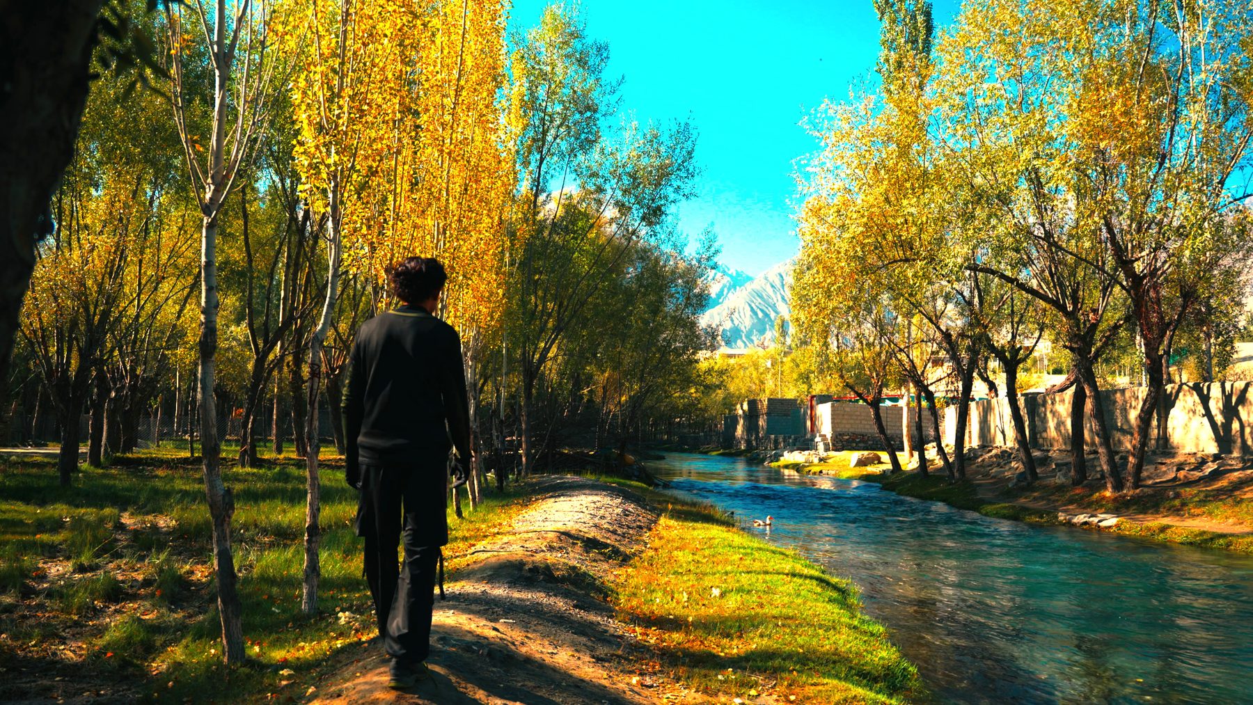 Walking an autumn riverbank